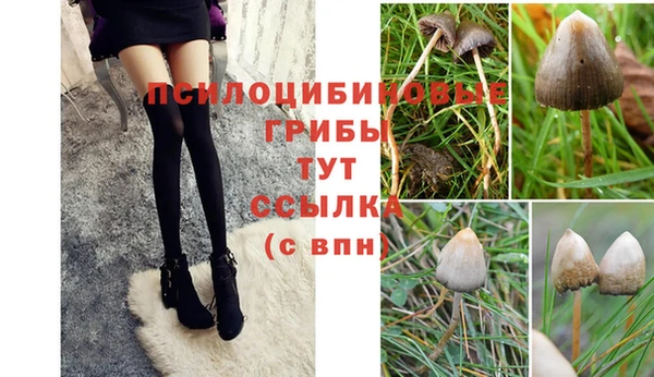 спайс Абдулино