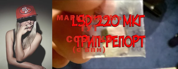 винт Алексин