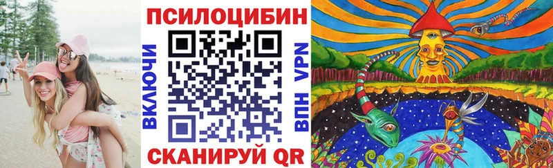 закладки Кинешма МЕГА рабочий сайт Псилоцибиновые грибы прущие грибы