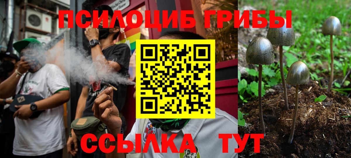 Кинешма  Галлюциногенные грибы Magic Shrooms  Вход с VPN  Галлюциногенные грибы прущие грибы 